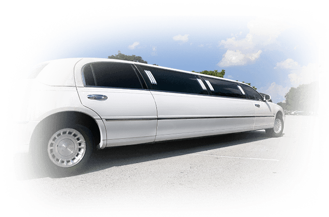 White Limousine White Limousine